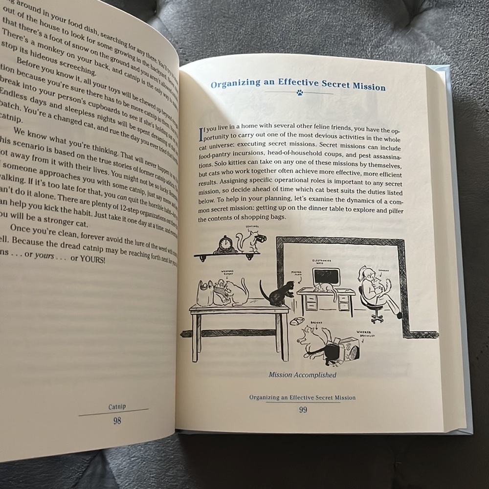 💙NEW 2008 Devious Book for Cats Drawings Illustrations by Emily Flake- Funny!💙 - Picture 5 of 9